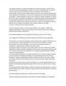 Las cenizas volantes