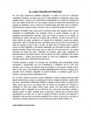 El lado oscuro de pinocho