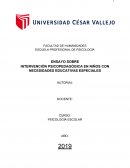 INTERVENCIÓN PSICOPEDAGÓGICA EN NIÑOS CON NECESIDADES EDUCATIVAS ESPECIALES