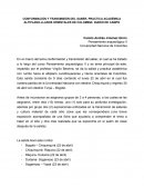 CONFORMACIÓN Y TRANSMISIÓN DEL SABER, PRACTICA ACADÉMICA ALTIPLANO-LLANOS ORIENTALES DE COLOMBIA: DIARIO DE CAMPO