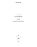 INTERPRETACION DIRECCIONAMIENTO ESTRATEGICO: PAPAS MARGARITA