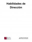 Habilidades de dirección