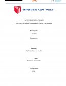 Plan de accion drogadiccion