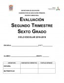 Examenes de matematias 1° a 6° primaria