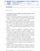 ¿La estrategia de Tesla ha cambiado nuestra idea del automóvil o solo es una mejora evolucionaria?