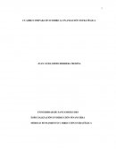 CUADRO COMPARATIVO SOBRE LA PLANEACIÓN ESTRATÉGICA