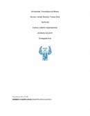 Cultura y talento organizacional