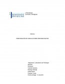 Preparación de soluciones rehidratantes