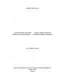 Laboratorio Experimental - Movimiento de un Pendulo