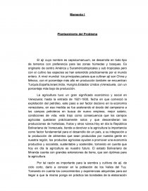 Proyecto de aji. Página 1