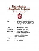 TRATAMIENTO JURISPRUDENCIAL CIVIL DE LA CAUSAL DE INFRACCIÓN NORMATIVA EN LOS RECURSOS DE CASACIÓN