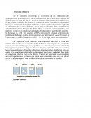 Frescura del huevo