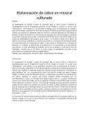 Biolixiviación de cobre en mineral sulfurado
