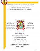 FACTORES ASOCIADOS CON ANOMALÍAS CONGÉNITAS DEL CEREBRO EN RECIÉN NACIDOS EN LA CIUDAD DE JULIACA, ABRIL- MAYO 2019