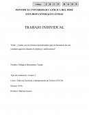 Factores determinantes para la conducta agresiva