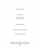 Auditoria energetica