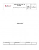 Procedimiento de trazado y niveles