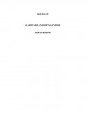 Idea de negocios Max-Salud