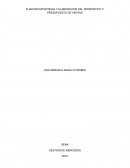 Fijación estratégica y elaboración de presupuesto y ventas