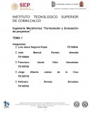 Ingenieria Mecatronica “Formulación y Evaluación de proyectos”
