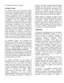 La organización celular es eucariota