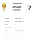 INFORME DE PRACTICA CRUZ ROJA HONDUREÑA