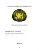 TRABAJO INFANTIL EN HUANCAYO