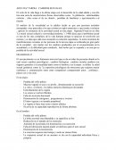 Adultez tardia: cambios sexuales