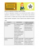 Ejercicio de organización Conceptual: Matriz Conceptual