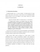 Proyecto incubadora didáctica de huevos fértiles