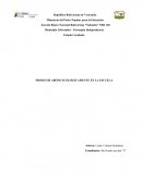 Proyecto Abono Orgánico