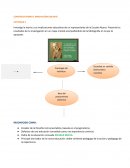 CONSTRUCTIVISMO E INNOVACIÓN DOCENTE