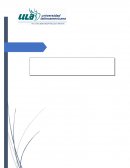 Derecho laboral Pacific Star es Líder