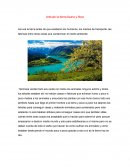 Articulo la tierra fauna y flora