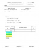 Termo de las cursadas de vapor