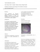Estudio de parenquima en plantas vasculares