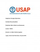 Energías Alternativas Actividad: Biocombustibles