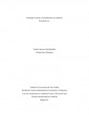 Diseñando Técnicas y Procedimientos de Auditoría Procafecol S.A