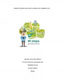 PROYECCIÓN DE ELECCIÓN ALTERNATIVA PRODUCTIVA