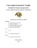 Proceso de curticion de cueros