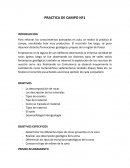 PRACTICA DE GEOLOGIA