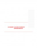 LA OMAMET, UN CASO CHILENO DE EMPRENDIMIENTO