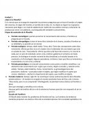 ¿Qué es la filosofía? Etapas de evolución de la filosofía