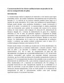 Caracterización de los efectos antibacterianos mejorados de las nuevas nanopartículas de plata