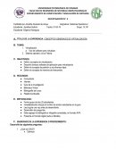 CONCEPTOS GENERALES DE VIRTUALIZACIÓN