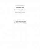 La Contaminación Ambiental. Tipos de Contaminación