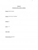 Trabajo nº1 Problemática política, jurídica y ciudadana