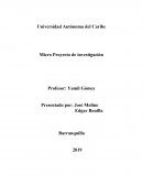 Trabajo de feminicidio