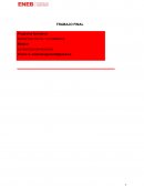 ESTRATEGIA EMPRESARIAL BACHI BARCELONA