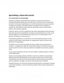 Aprendizaje y desarrollo mental. Una mirada desde la neuropsicología